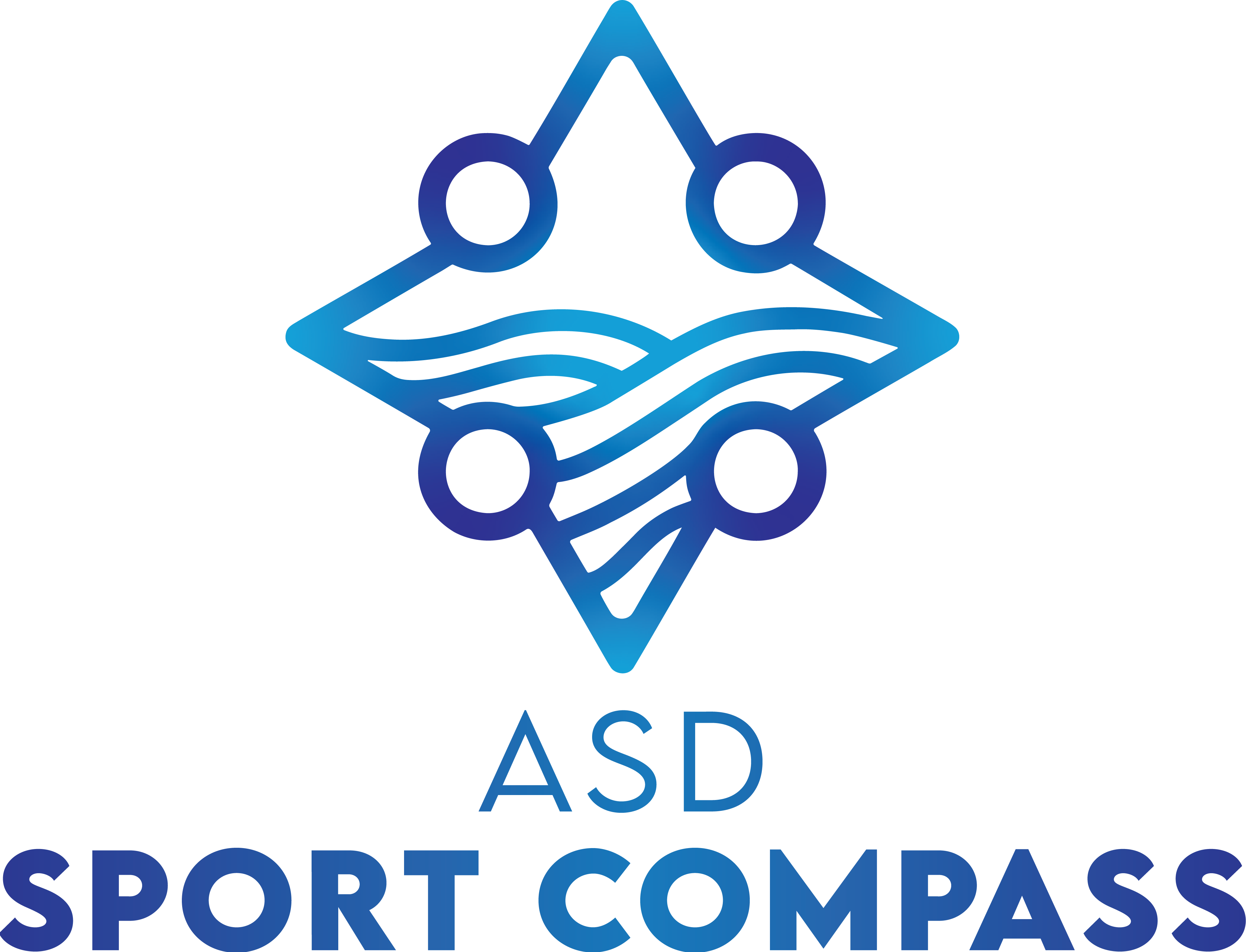 ASD Sport Compass